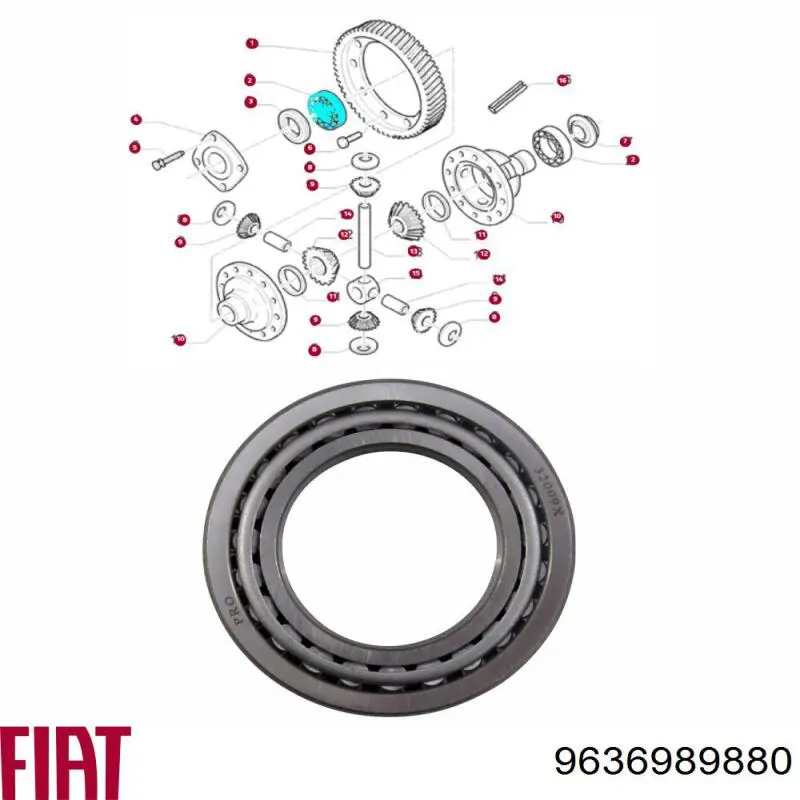 9636989880 Fiat/Alfa/Lancia Rolamento de diferencial do eixo dianteiro