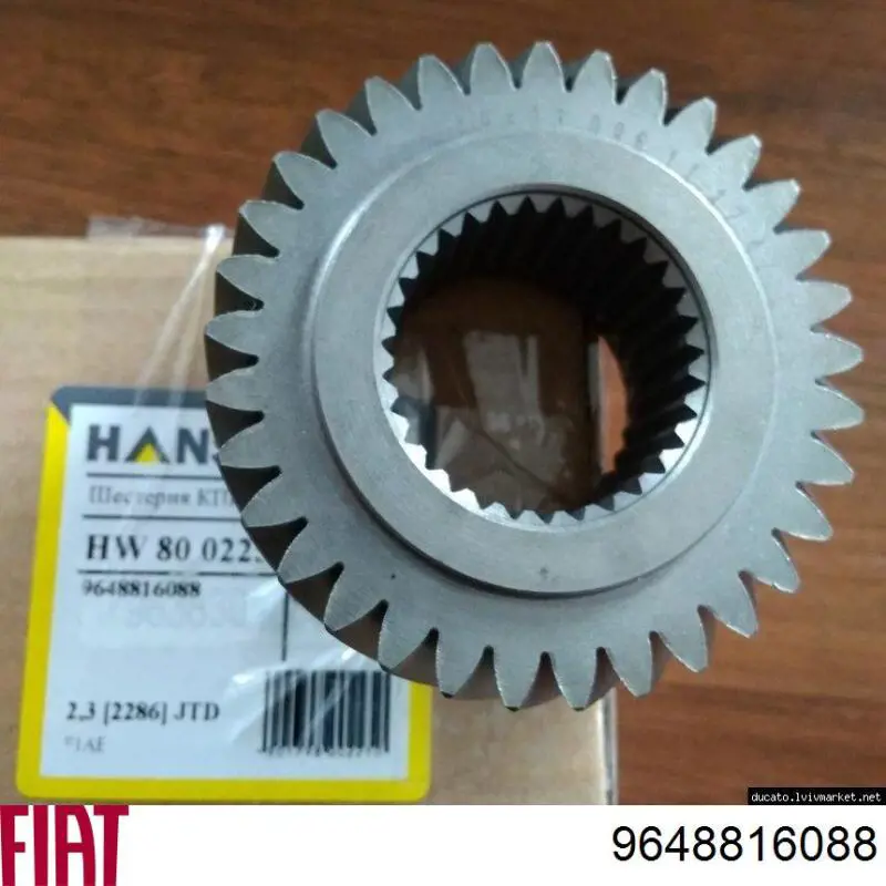 Roda dentada propulsionada de 5ª velocidade Peugeot/Citroen 233870 preço, a partir de 48,00 USD