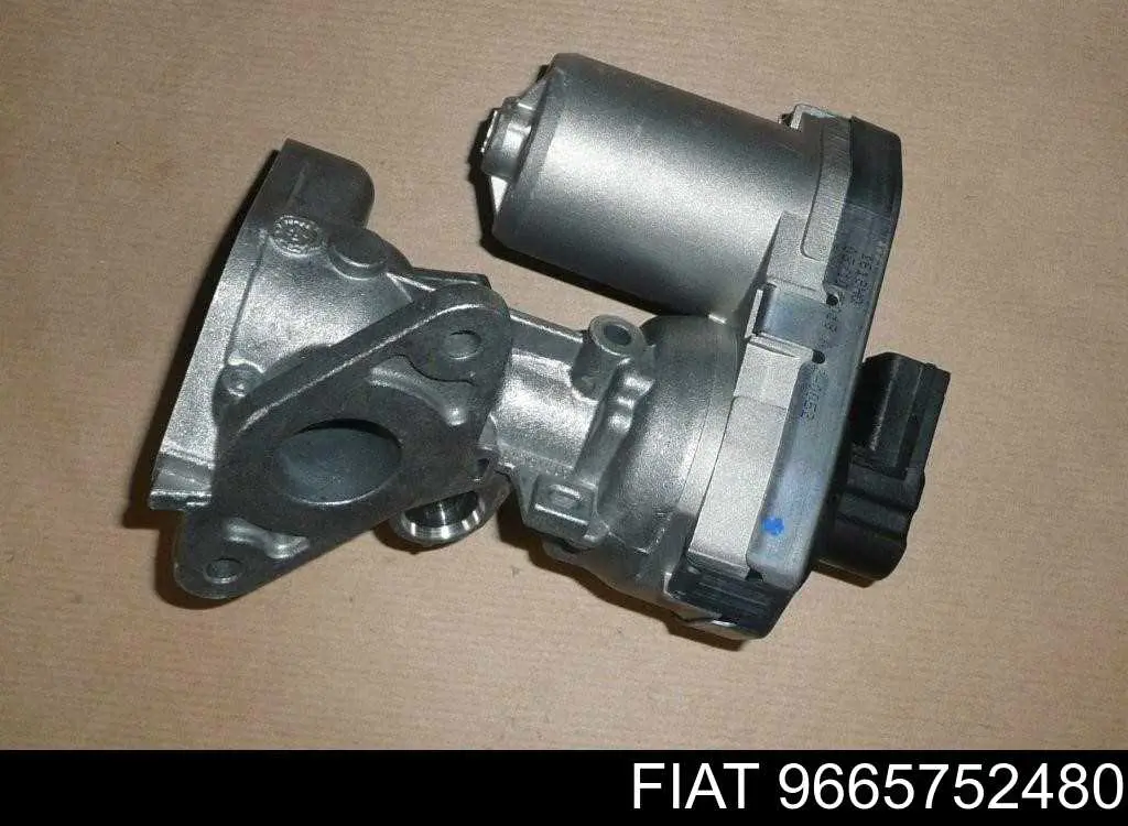 9665752480 Fiat/Alfa/Lancia Válvula EGR de recirculação dos gases