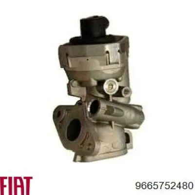 Compre 9665752480 Fiat/Alfa/Lancia Válvula EGR de recirculação dos gases