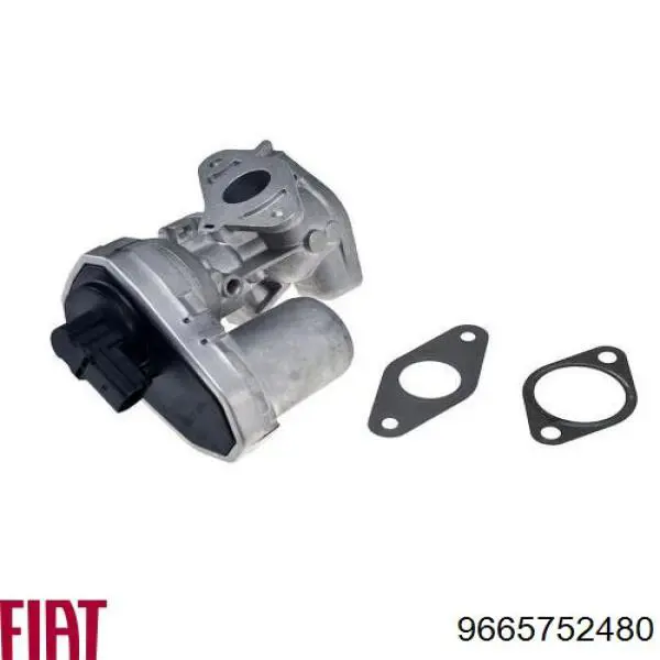 Válvula EGR de recirculação dos gases Fiat/Alfa/Lancia 9665752480