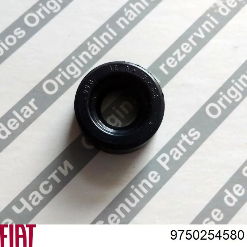 Compre 9750254580 Fiat/Alfa/Lancia Vedação da Caixa Automática de Mudança (árvore-engrenagens)