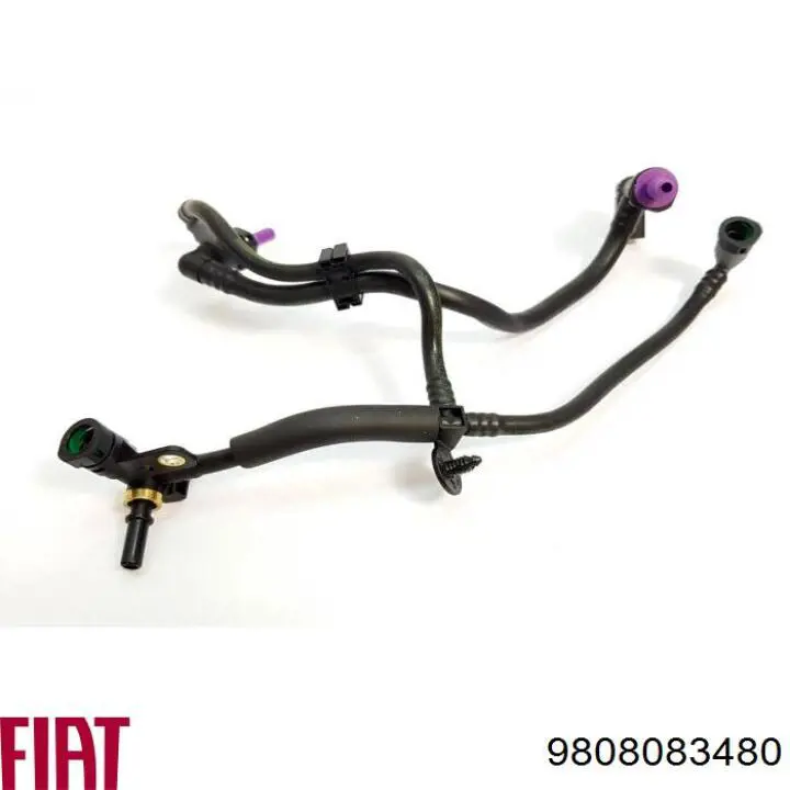 9808083480 Fiat/Alfa/Lancia Tubo de combustível de retorno desde a Bomba de Combustível de Pressão Alta até o filtro