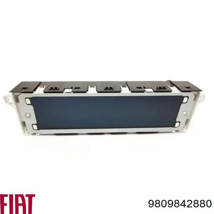 9809842880 Peugeot/Citroen 