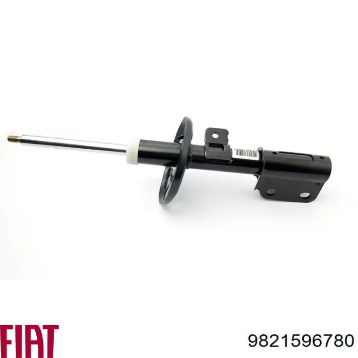 Amortecedor dianteiro RS319556 Raiso