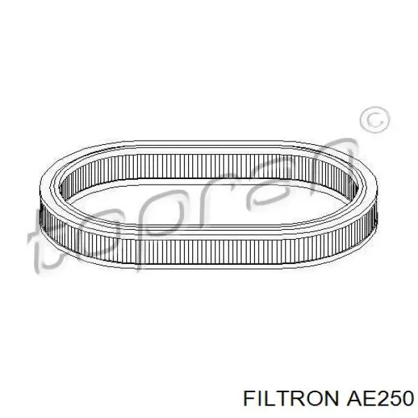 Compre AE250 Filtron Filtro de ar