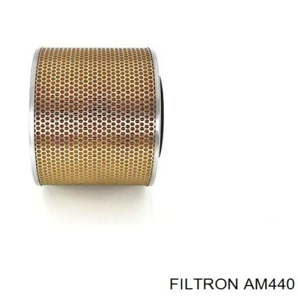 Compre AM440 Filtron Filtro de ar