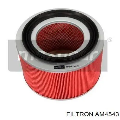 AM4543 Filtron Filtro de ar