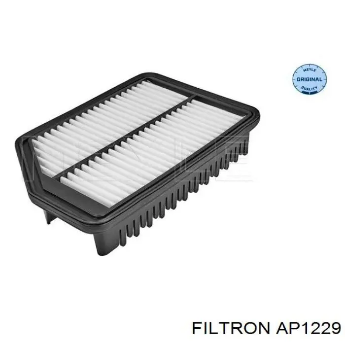 AP1229 Filtron Filtro de ar