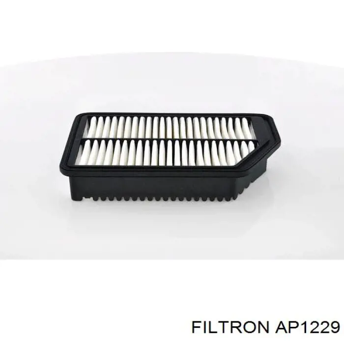 Compre AP1229 Filtron Filtro de ar