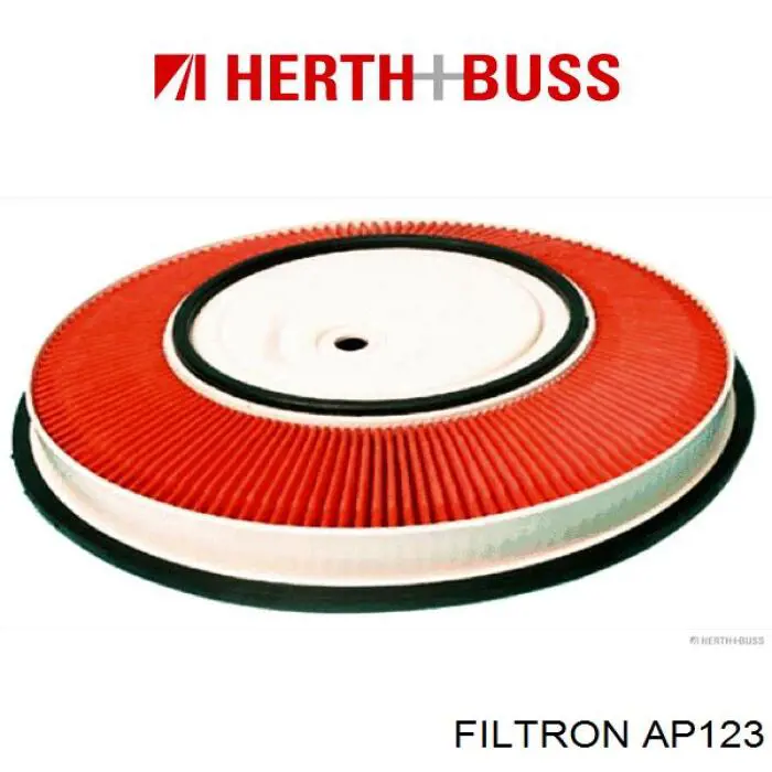 Compre AP123 Filtron Filtro de ar