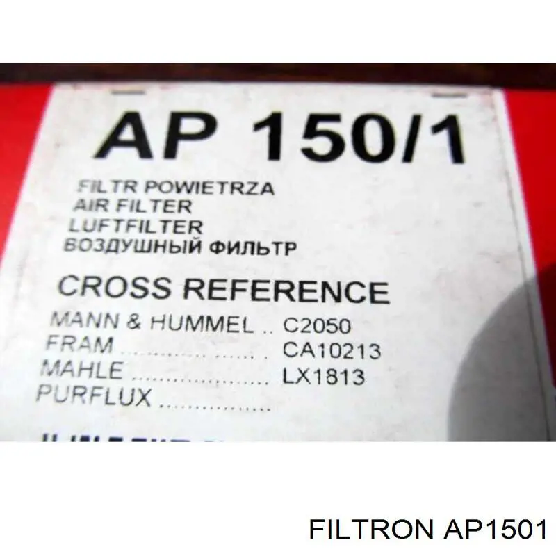 Compre AP1501 Filtron Filtro de ar