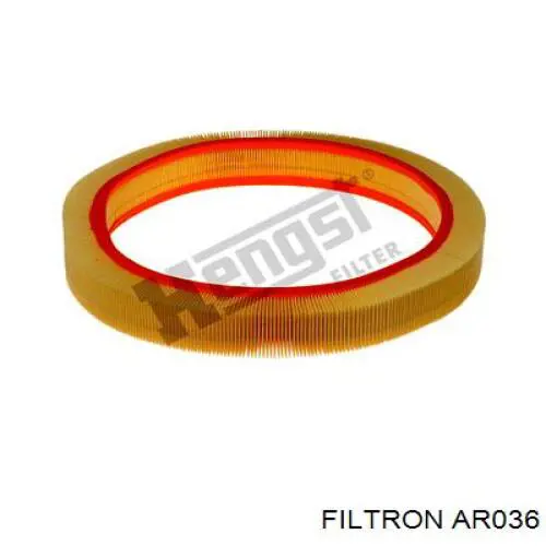 Compre AR036 Filtron Filtro de ar