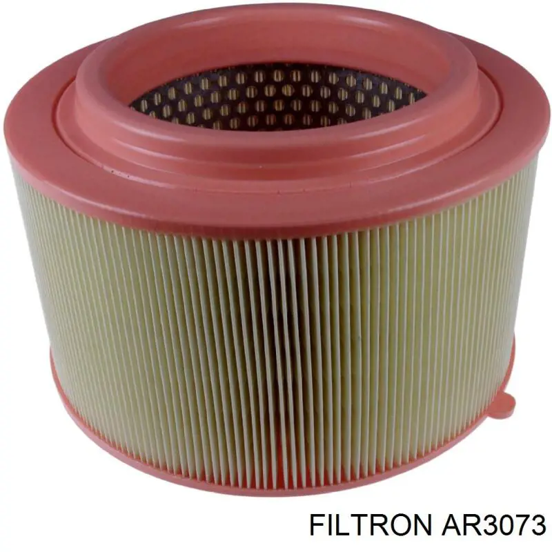 AR3073 Filtron Filtro de ar