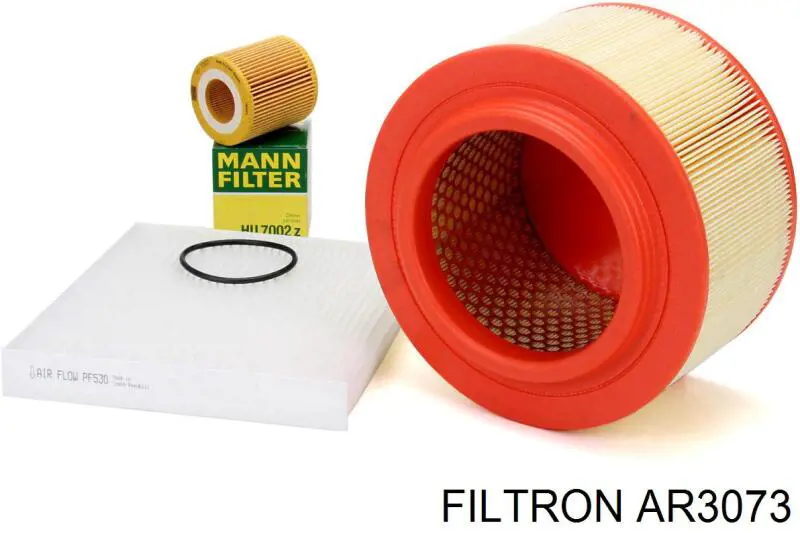 Compre AR3073 Filtron Filtro de ar