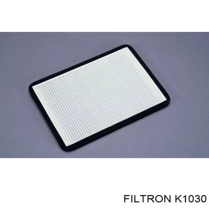 Compre K1030 Filtron Filtro de salão