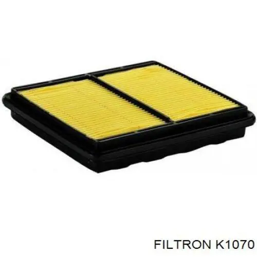 Compre K1070 Filtron Filtro de salão
