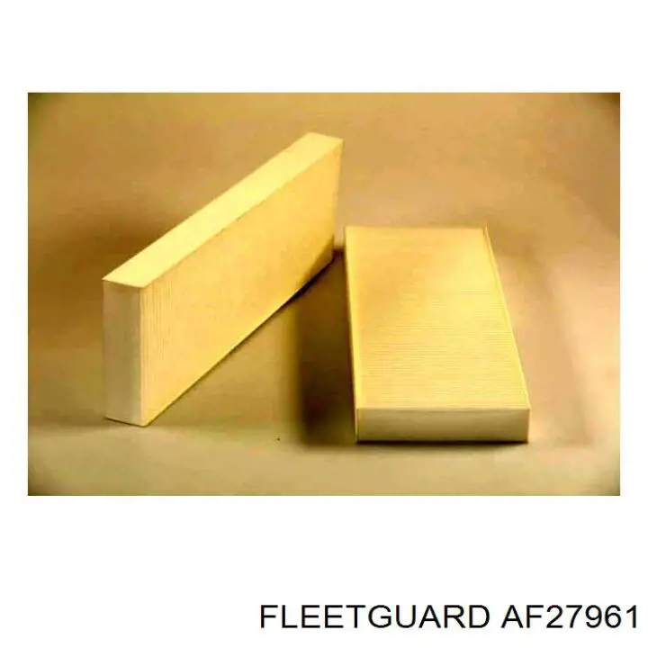 Compre AF27961 Fleetguard Filtro de salão