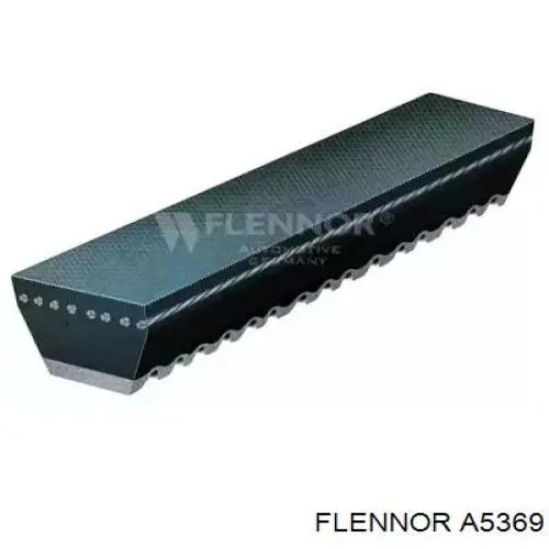 Correia dos conjuntos de transmissão A5369 Flennor