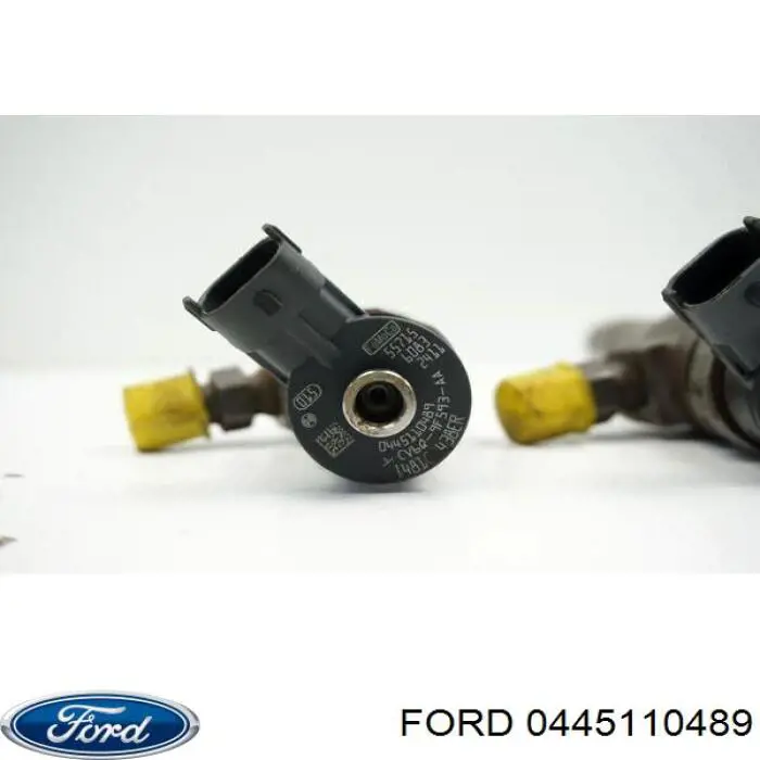 0445110489 Ford Injetor de injeção de combustível