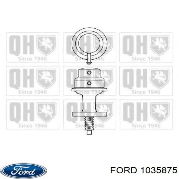 Compre 1035875 Ford Bomba de combustível mecânica