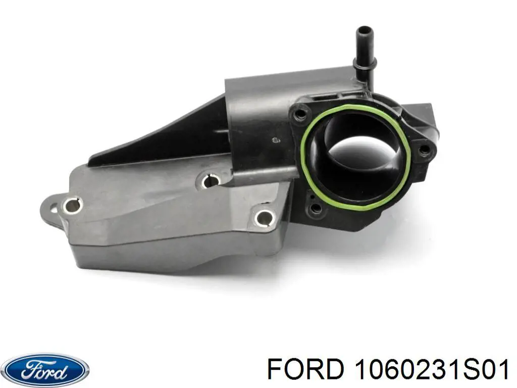 Compre 1060231S01 Ford 