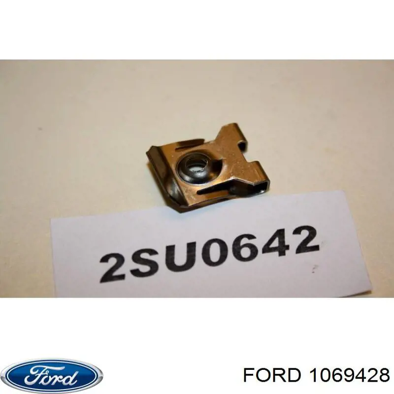 6669103 Ford Arruela de mola