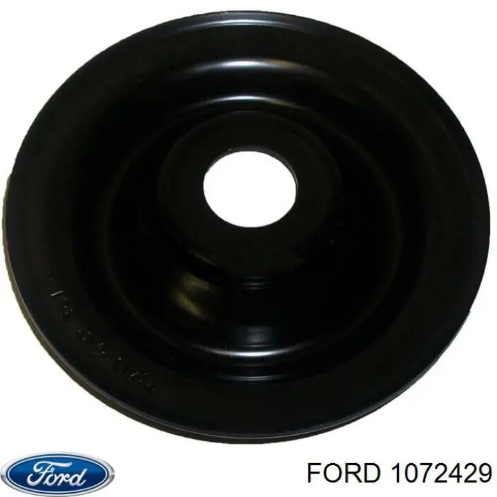 Compre 1072429 Ford Pino do cabo