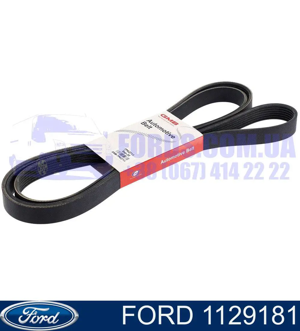 Compre 1129181 Ford Correia dos conjuntos de transmissão