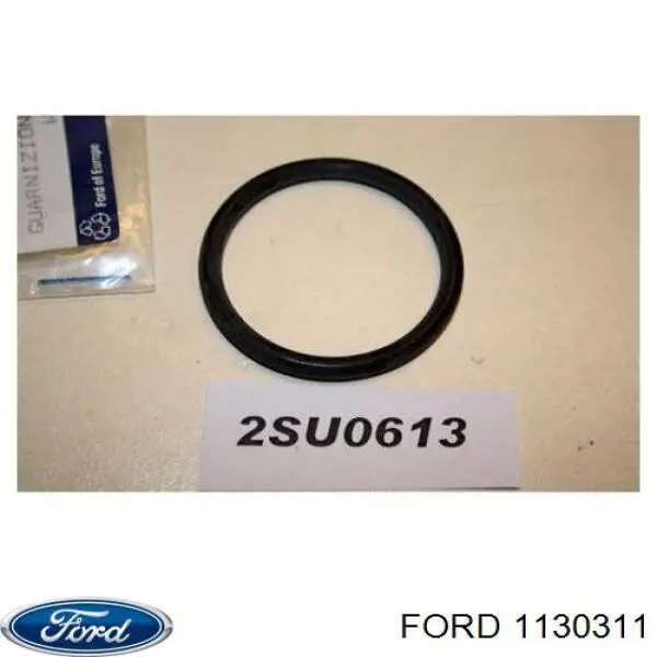1130311 Ford Vedante de termostato