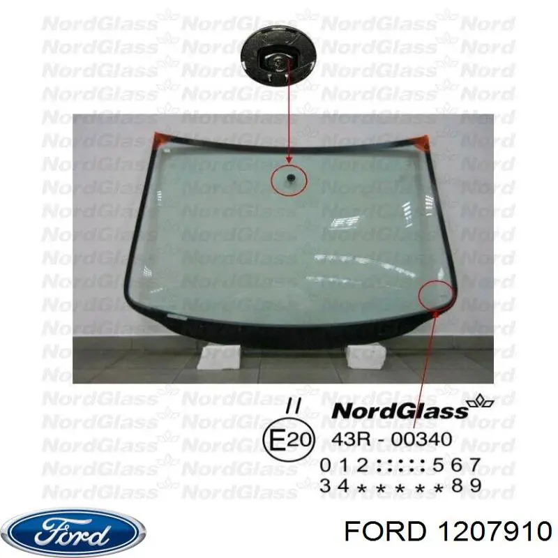 1018142 Ford Pára-brisas