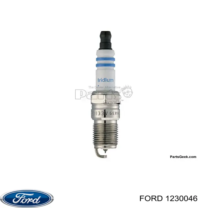 1230046 Ford Injetor de óleo