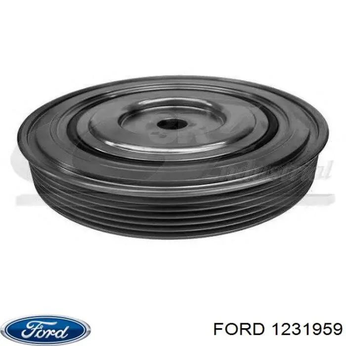 1231959 Ford Polia de cambota