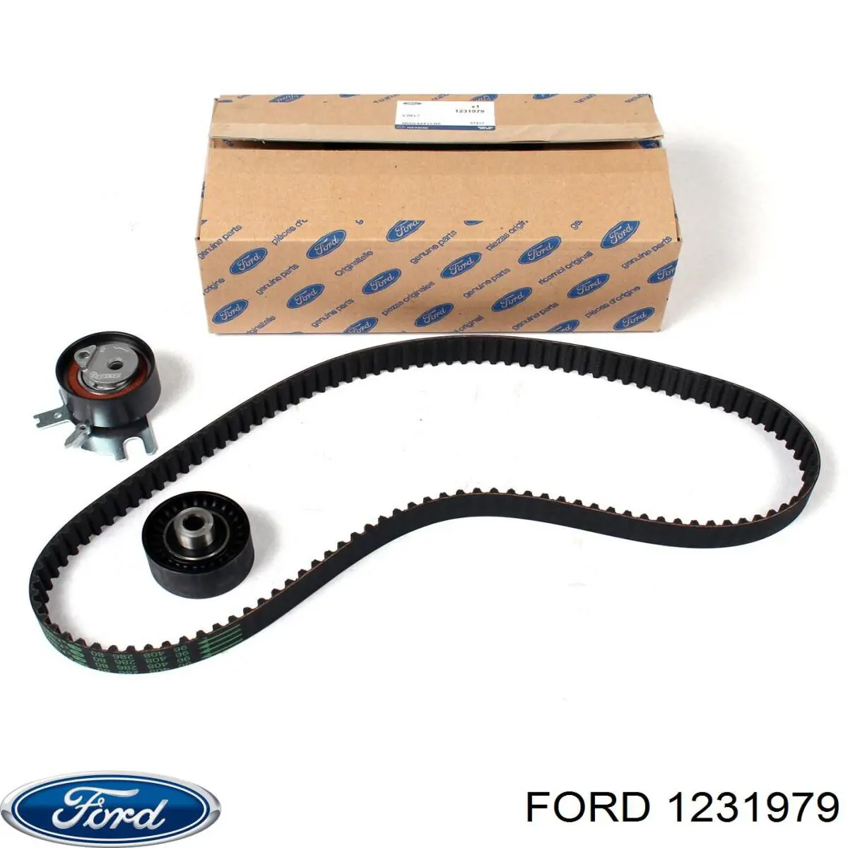 1231979 Ford Correia do mecanismo de distribuição de gás, kit