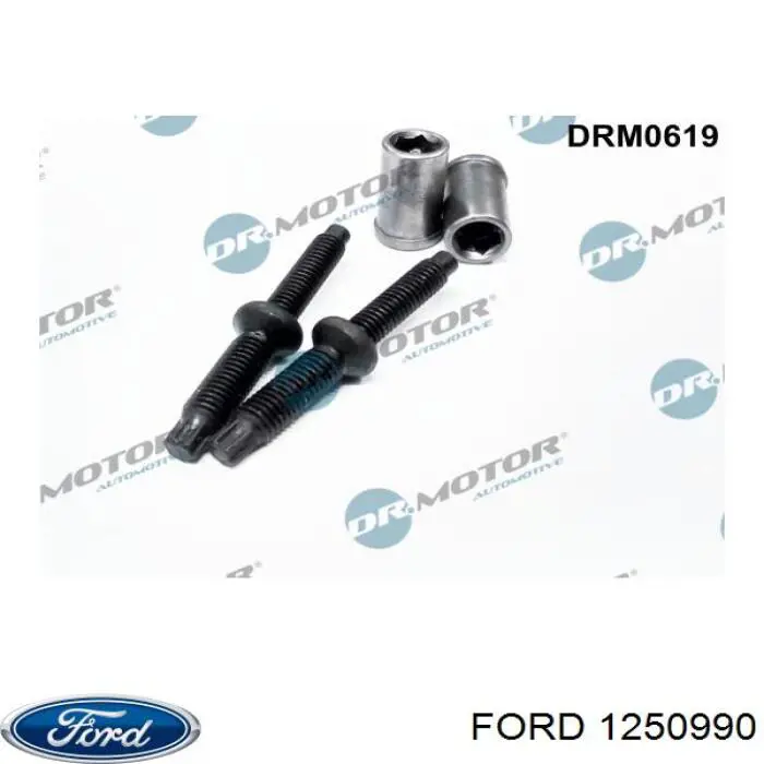 1250990 Ford Parafuso de fixação do injetor