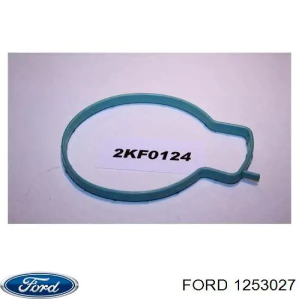 1253027 Ford Vedante da válvula de borboleta