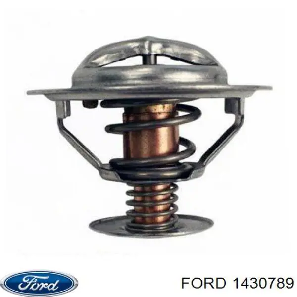 1430789 Ford Tampa de motor decorativa