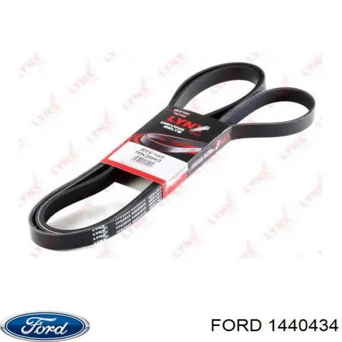 Correia dos conjuntos de transmissão Ford 1440434 preço, a partir de 34,57 USD