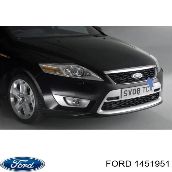 Grelha do radiador Ford 1451951 preço, a partir de 38,08 USD