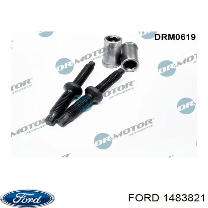 1483821 Ford Anel (arruela) do injetor de ajuste