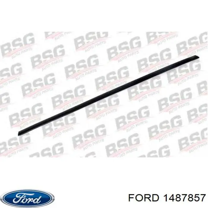 Compre 3M51R20938AD Ford Moldura da porta dianteira esquerda