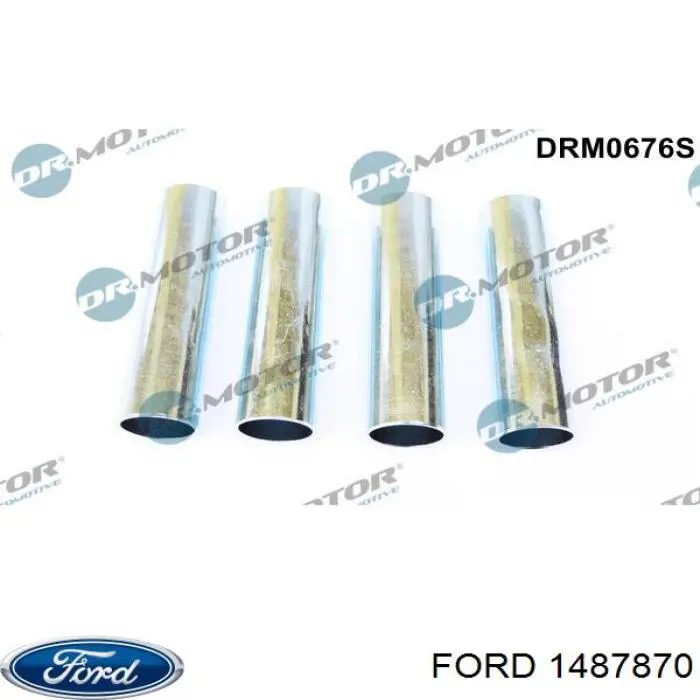 1487870 Ford Kit de reparação do injetor
