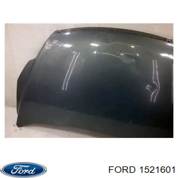 1521601 Ford Capota