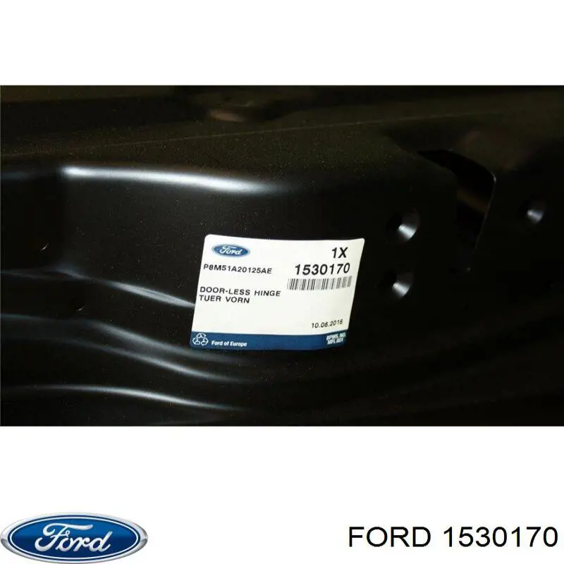1530170 Ford Porta dianteira esquerda