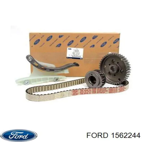 Compre 1562244 Ford Correia do mecanismo de distribuição de gás, kit