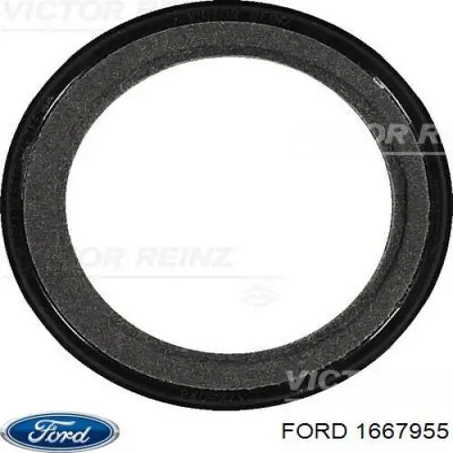 Compre 1667955 Ford Vedação dianteira de cambota de motor