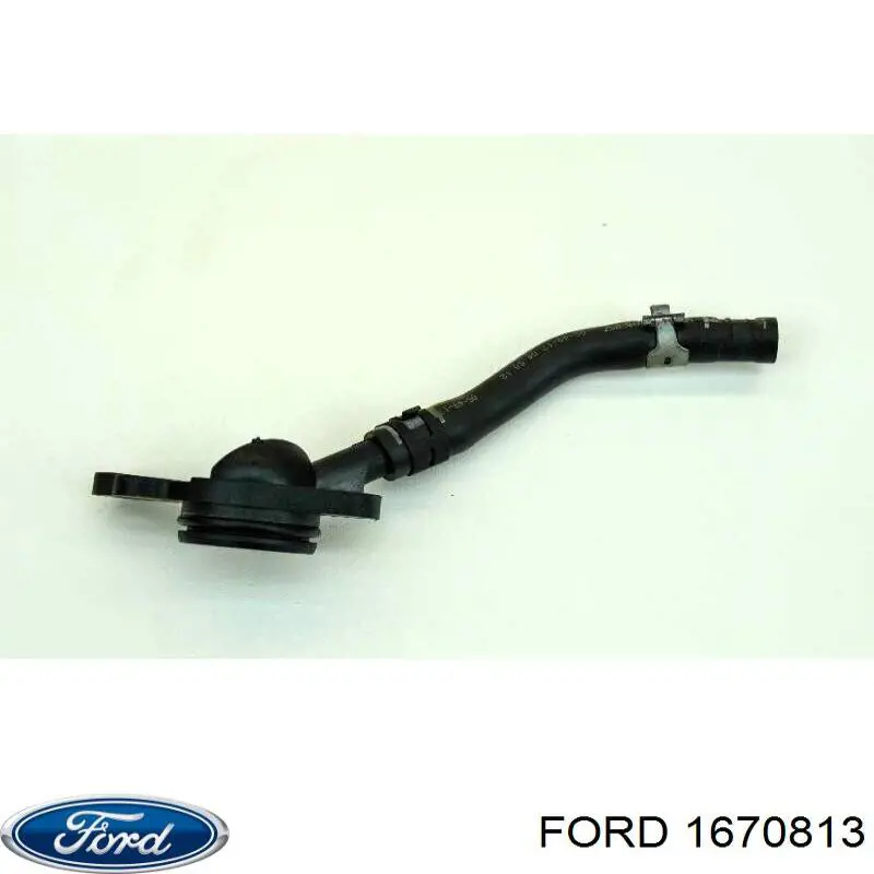 1670813 Ford Mangueira (cano derivado) de intercooler