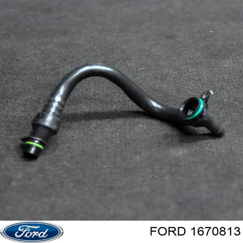 1670813 Ford Mangueira (cano derivado) de intercooler