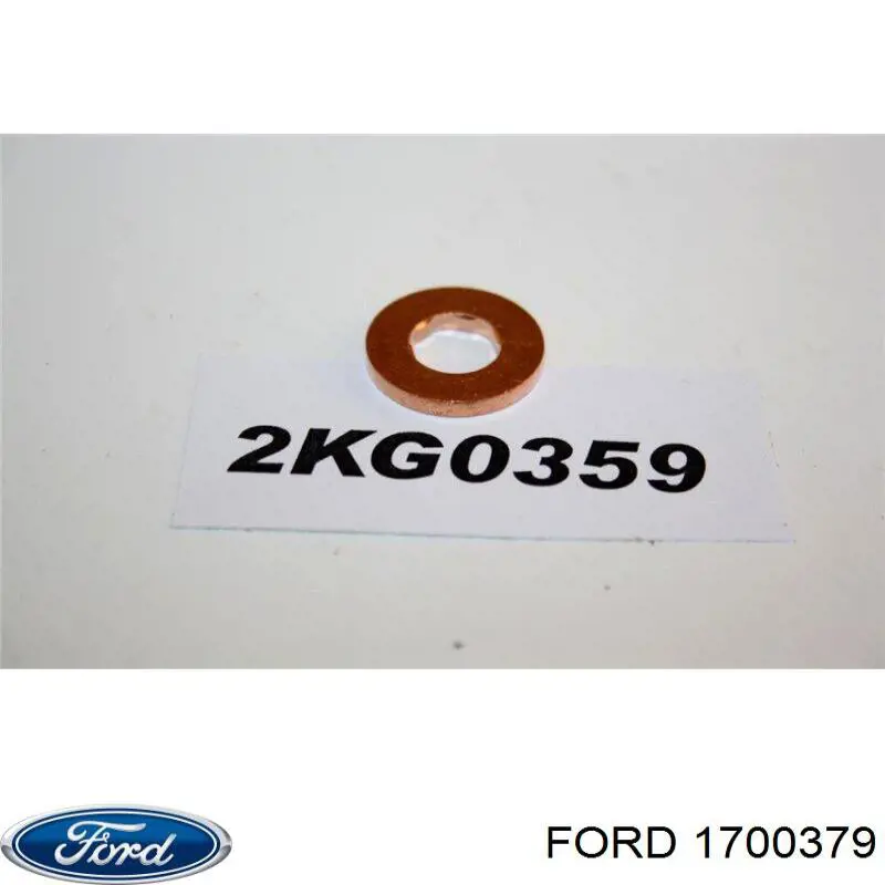 1700379 Ford Anel (arruela) do injetor de ajuste