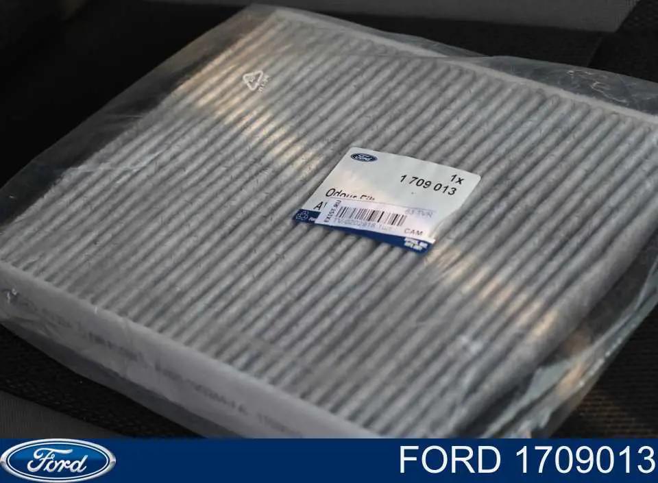 1709013 Ford Filtro de salão